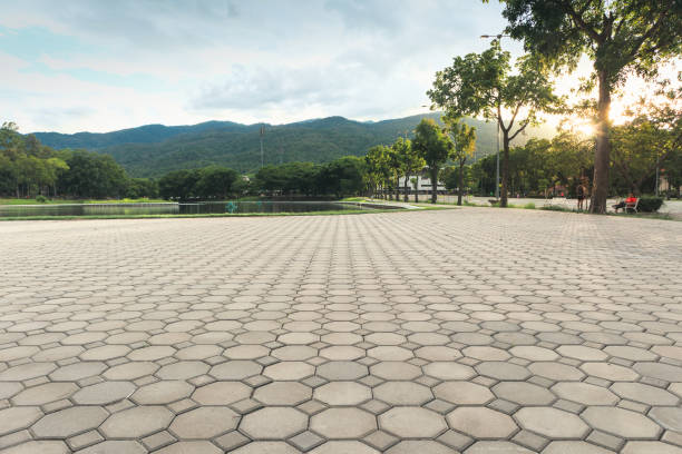Best Residential Driveway Paver Services  in Dover, TN